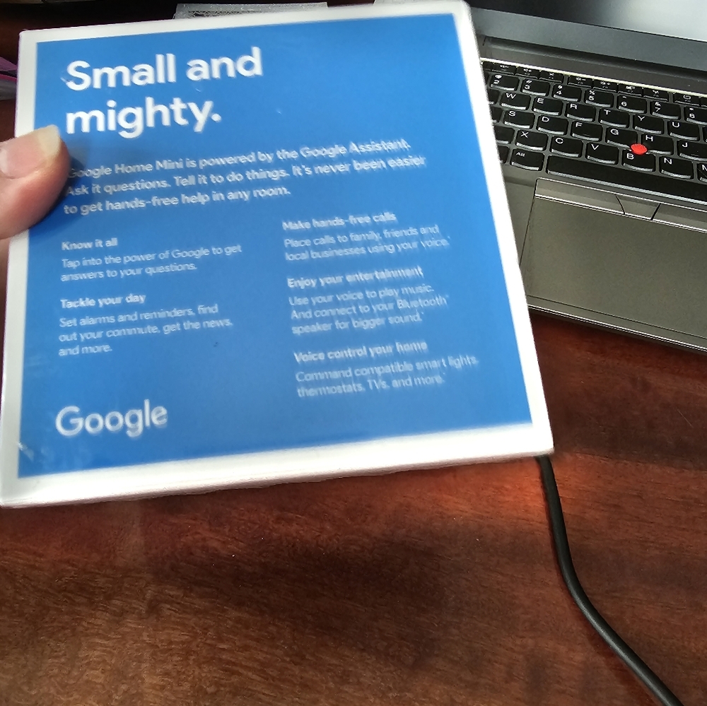 Google Home Mini Brand NIB